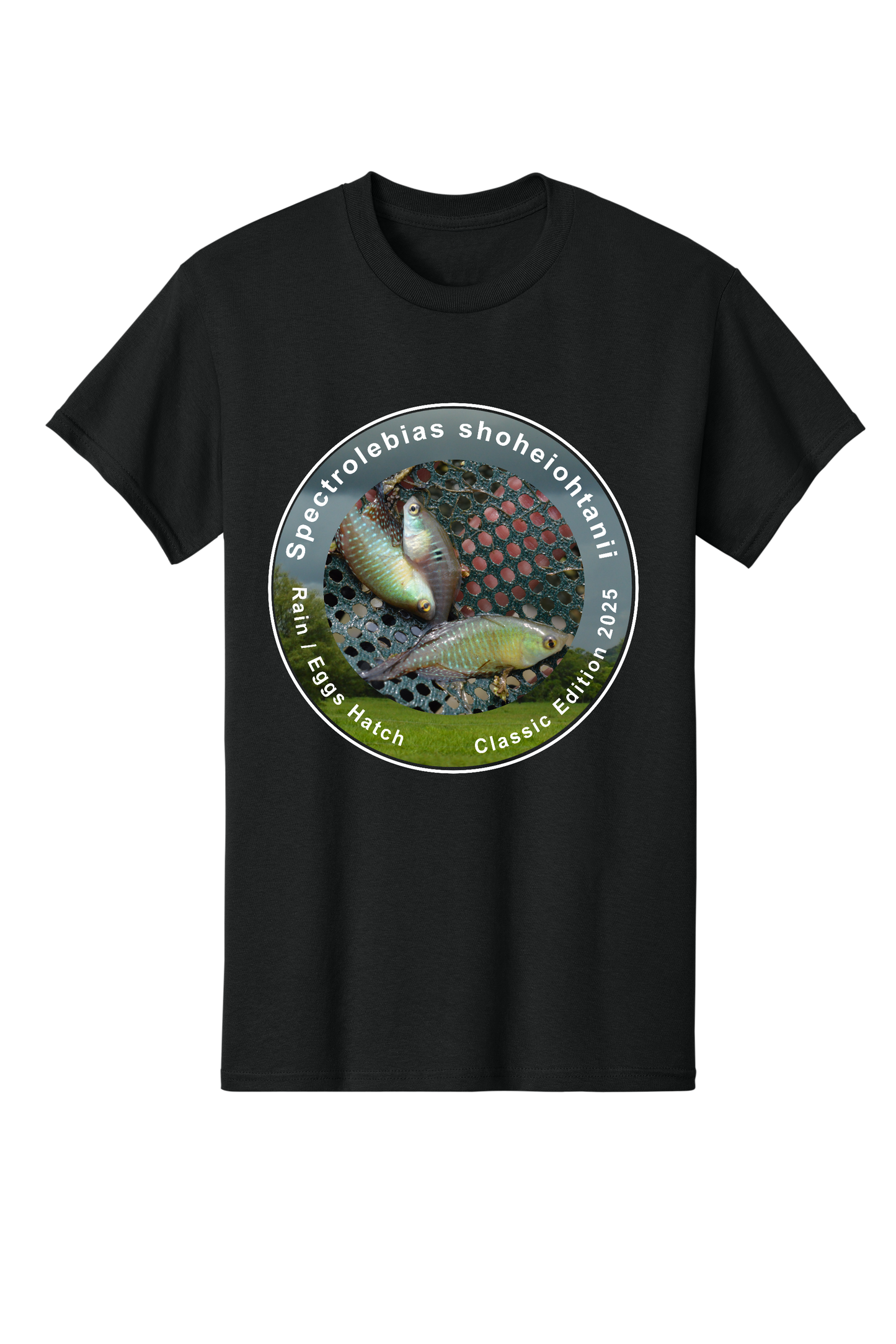 クラシック#1 - 大人