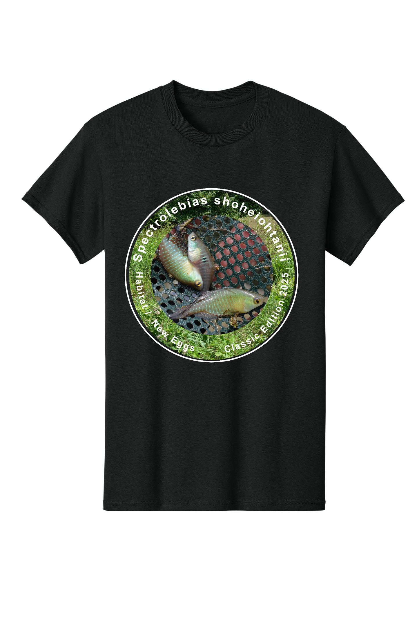 クラシック#2 - 大人