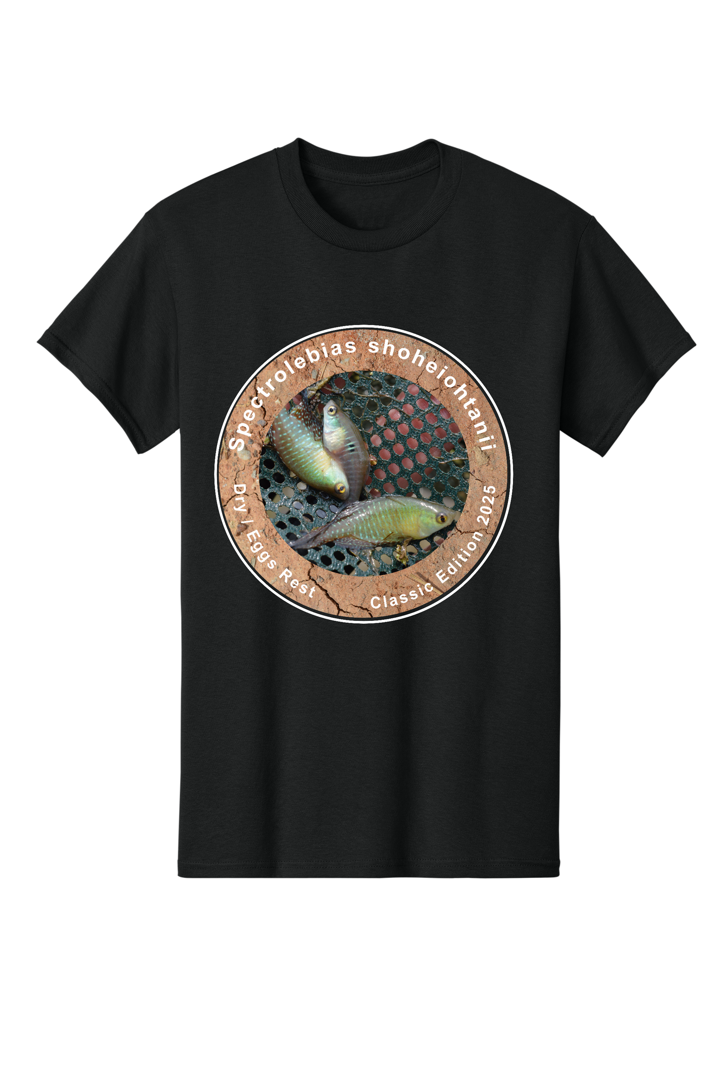 クラシック#3 - 大人