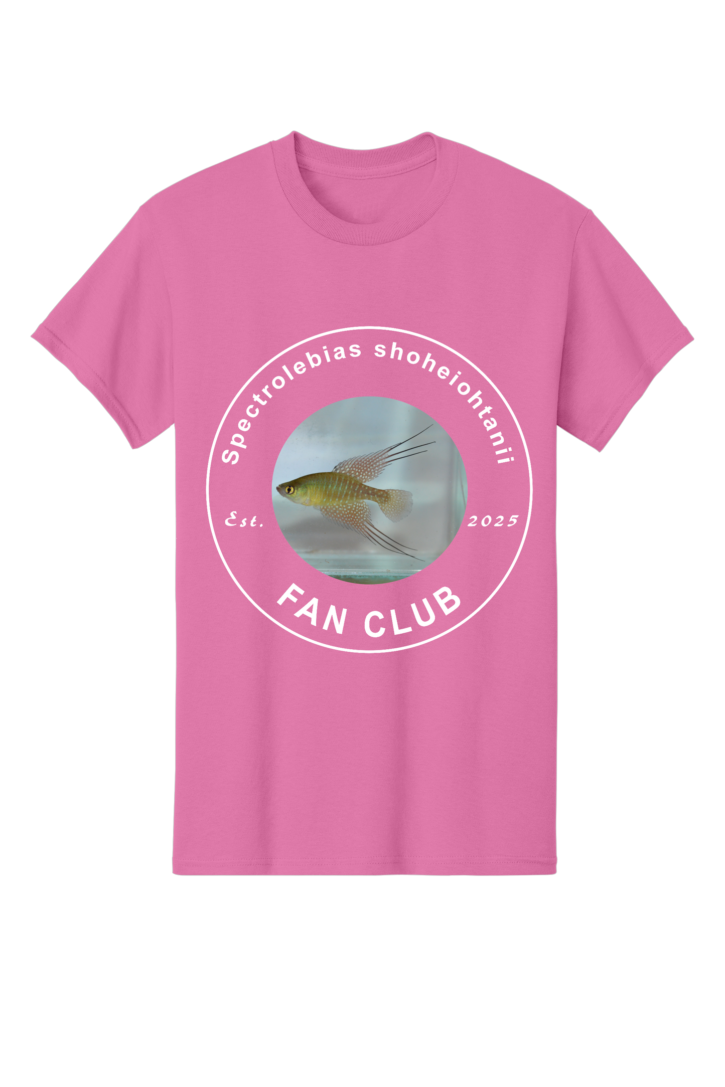 ファンクラブ #1 - 大人