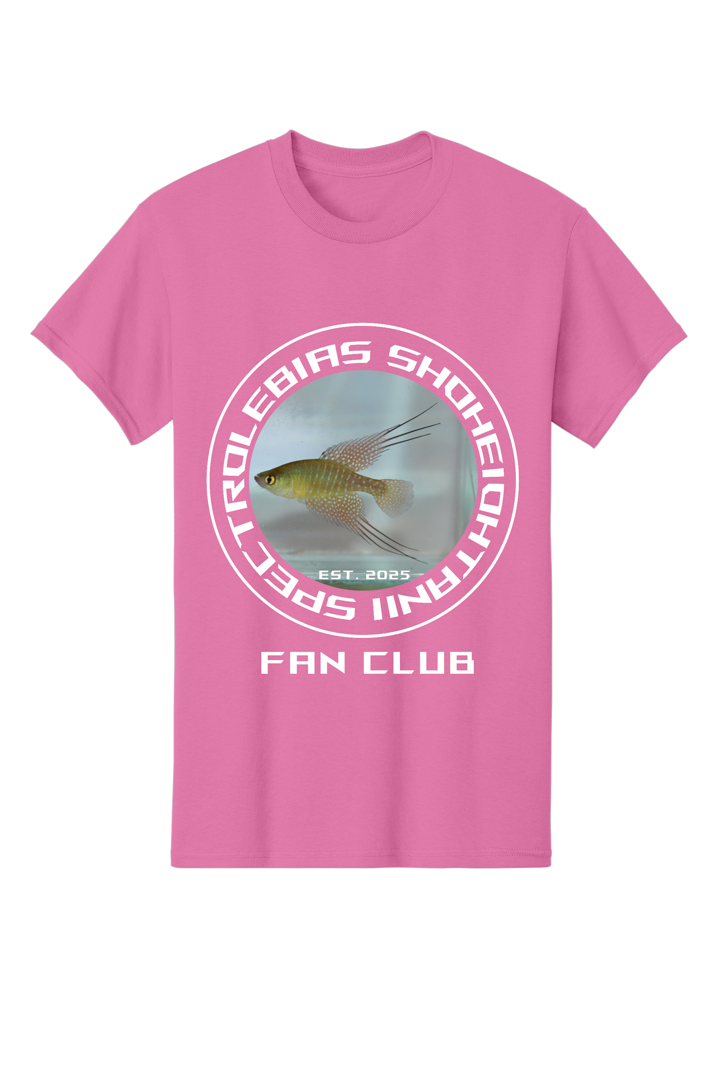 ファンクラブ #2 - 大人