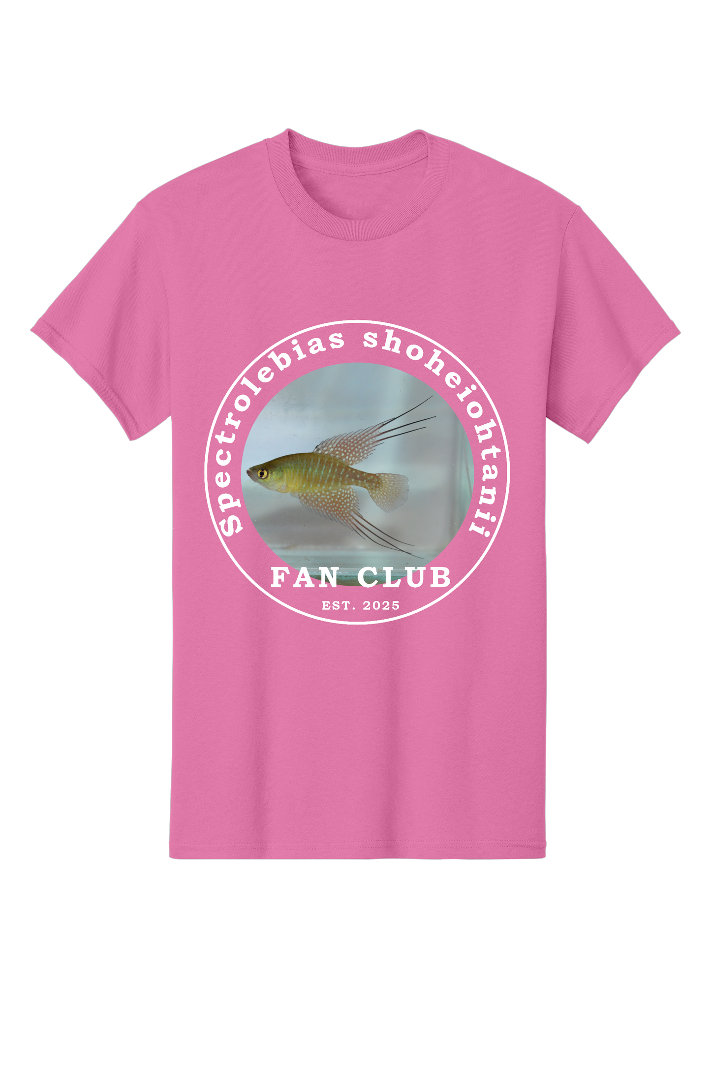 ファンクラブ #3 - 大人