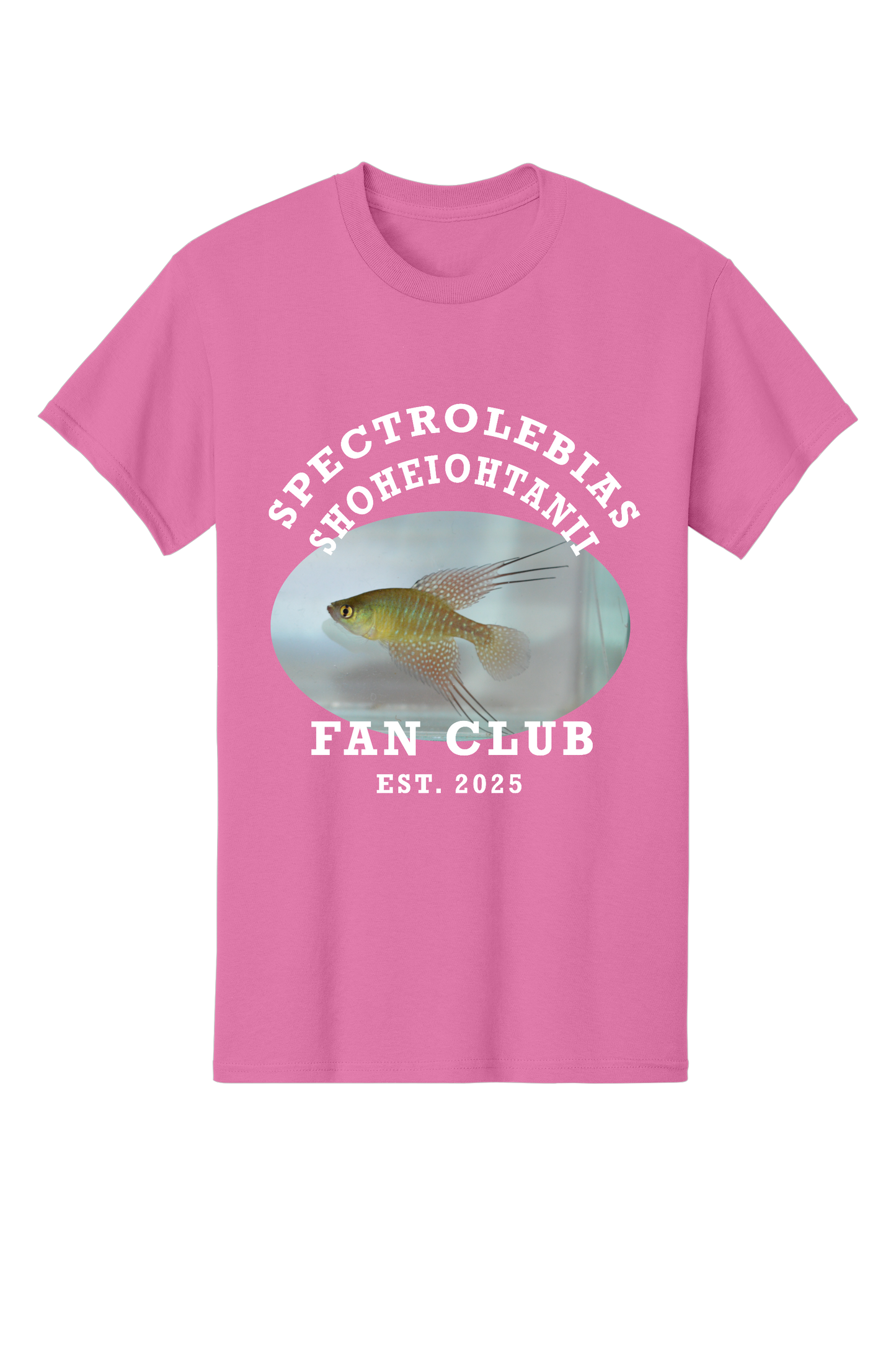 ファンクラブ #6 - 大人