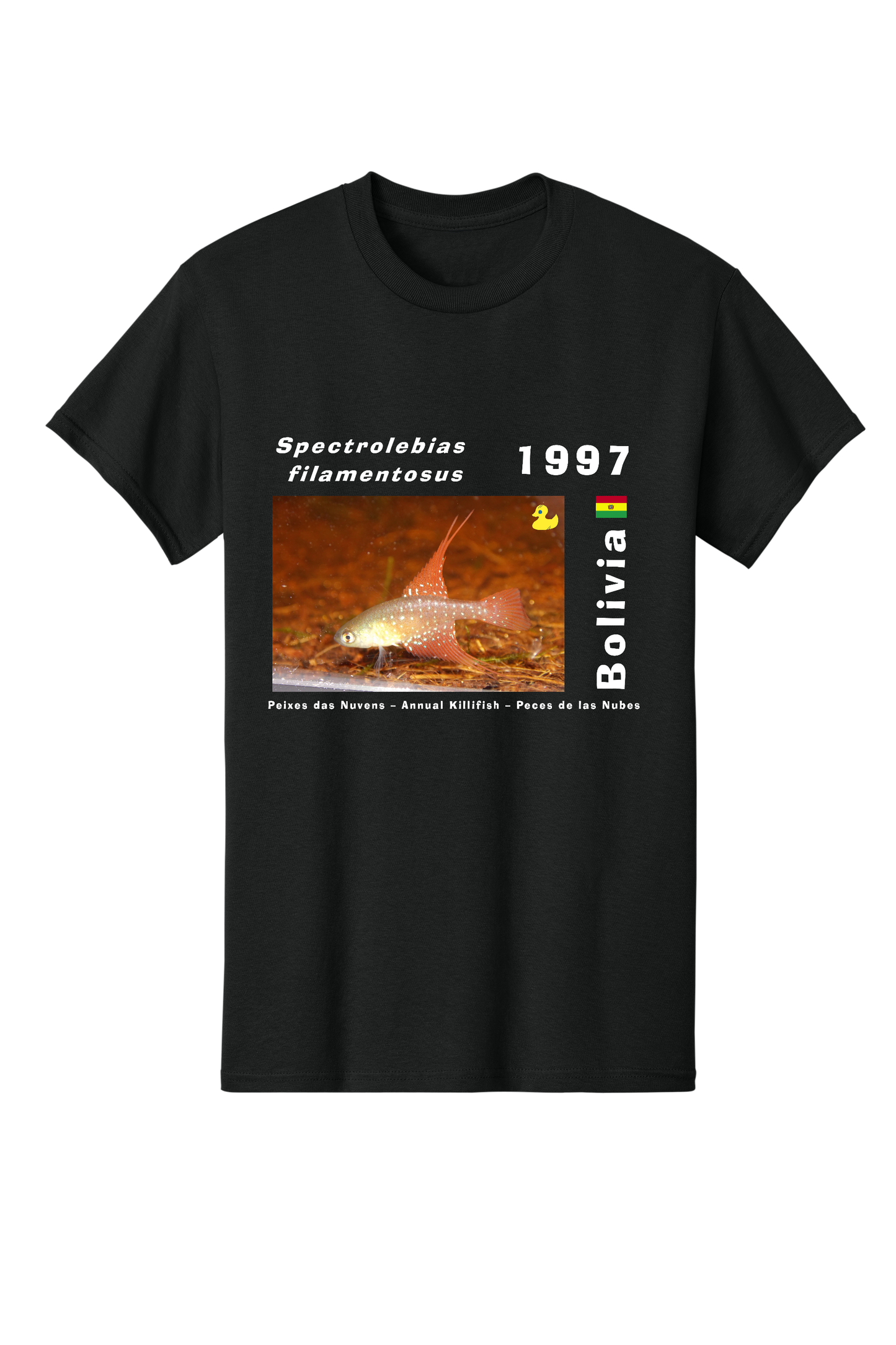 Original 3 - Spectrolebias filamentosus