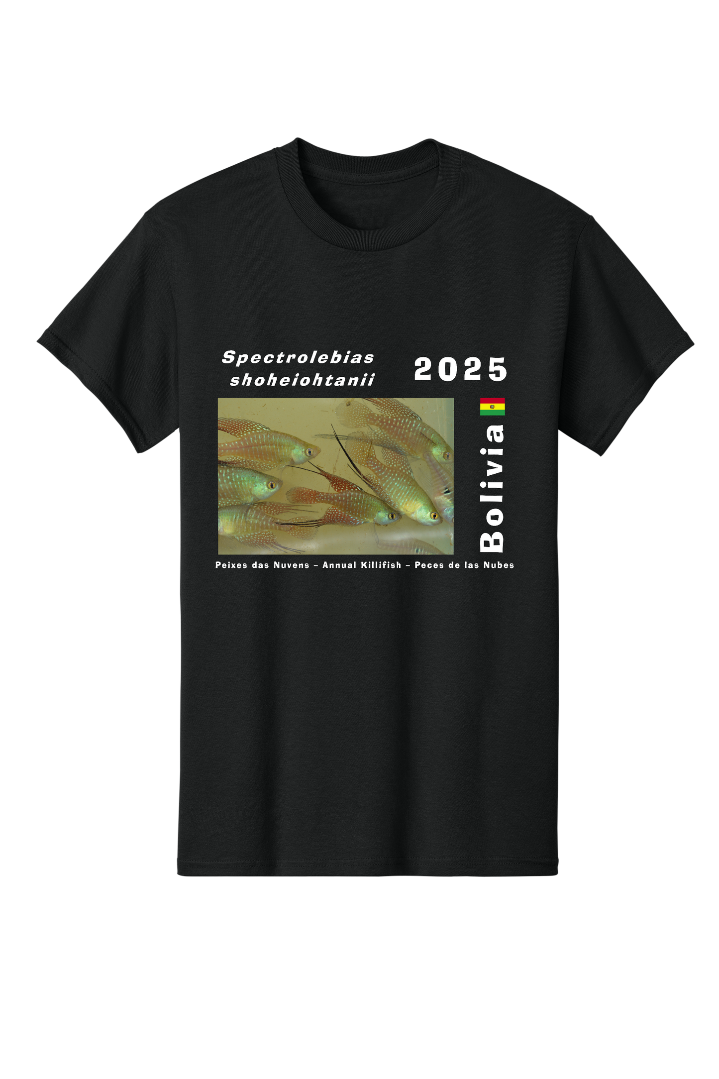 オリジナル#1 - 大人