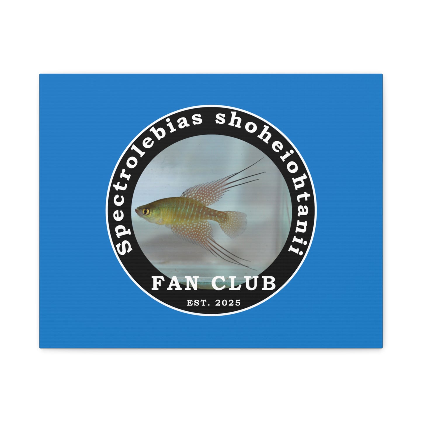 WALL ART - Shohei Ohtani Fish Fan Club Design Canvas Print - Fan Club Design Stretched Matte Wall Art