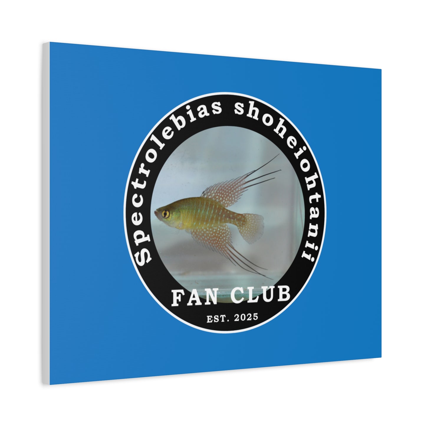 WALL ART - Shohei Ohtani Fish Fan Club Design Canvas Print - Fan Club Design Stretched Matte Wall Art