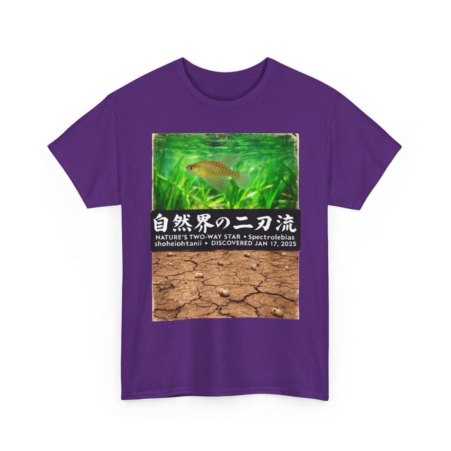 A New Vibe Collection #1 | Shohei Ohtani Fish