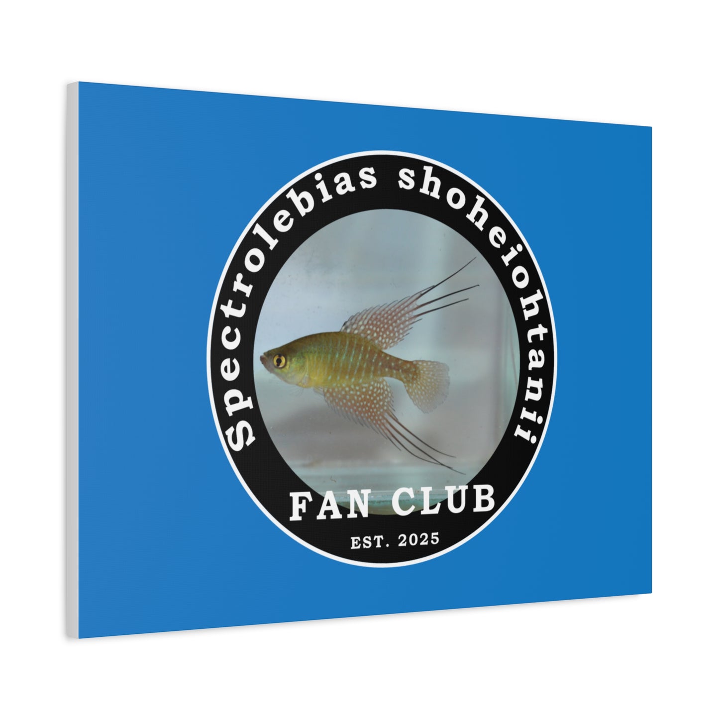 WALL ART - Shohei Ohtani Fish Fan Club Design Canvas Print - Fan Club Design Stretched Matte Wall Art