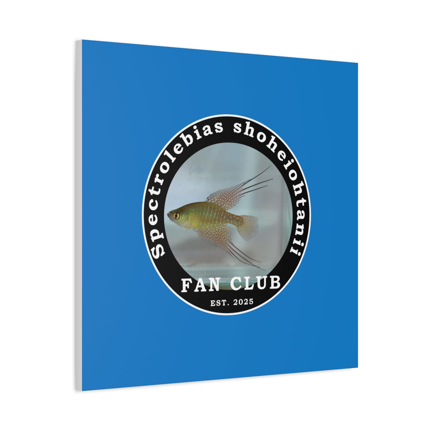 WALL ART - Shohei Ohtani Fish Fan Club Design Canvas Print - Fan Club Design Stretched Matte Wall Art