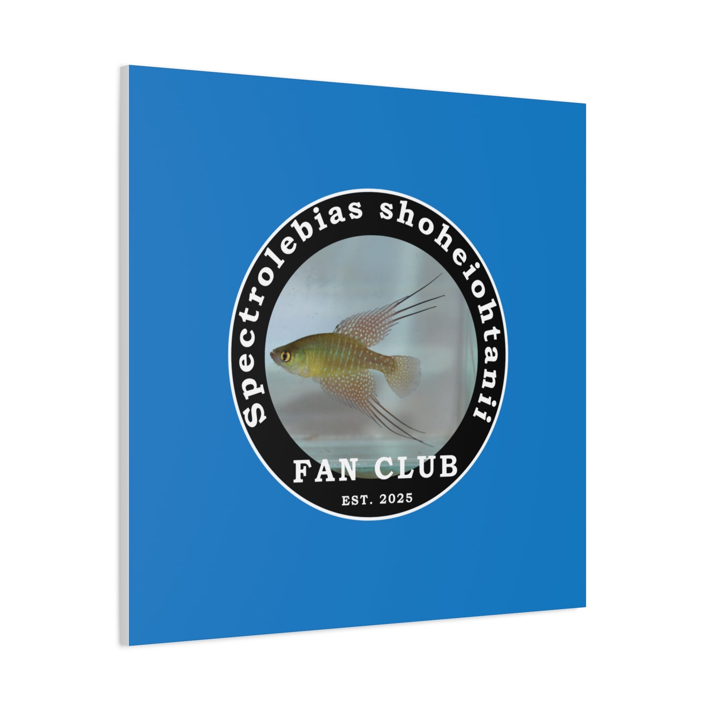 WALL ART - Shohei Ohtani Fish Fan Club Design Canvas Print - Fan Club Design Stretched Matte Wall Art