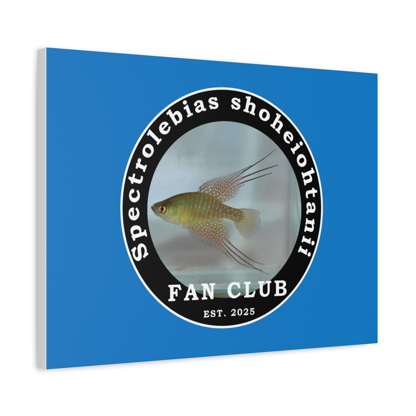 WALL ART - Shohei Ohtani Fish Fan Club Design Canvas Print - Fan Club Design Stretched Matte Wall Art