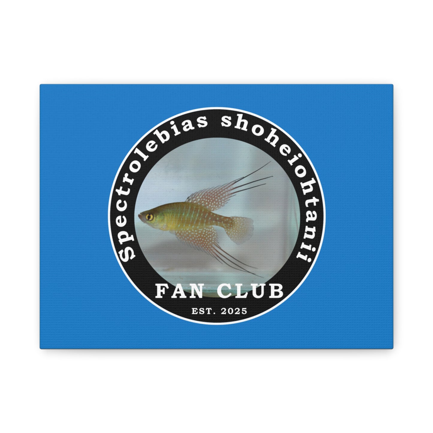 WALL ART - Shohei Ohtani Fish Fan Club Design Canvas Print - Fan Club Design Stretched Matte Wall Art