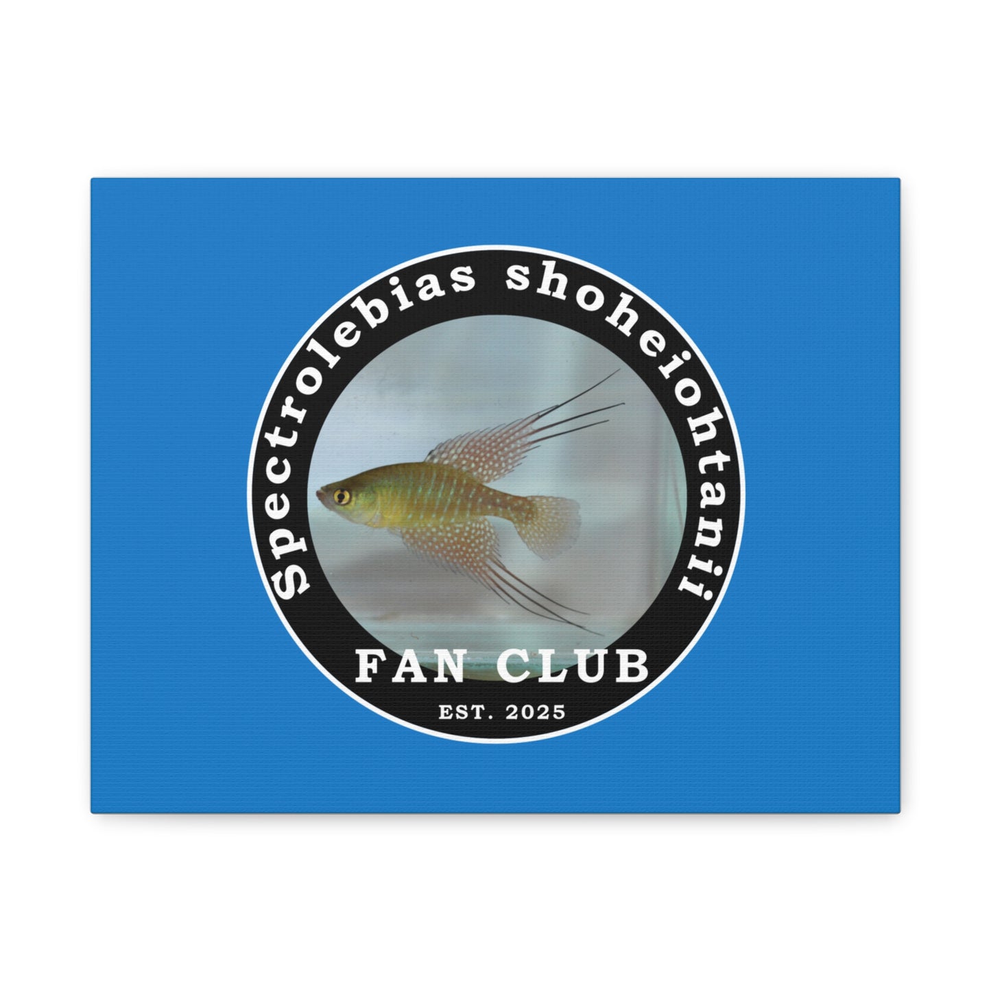 WALL ART - Shohei Ohtani Fish Fan Club Design Canvas Print - Fan Club Design Stretched Matte Wall Art