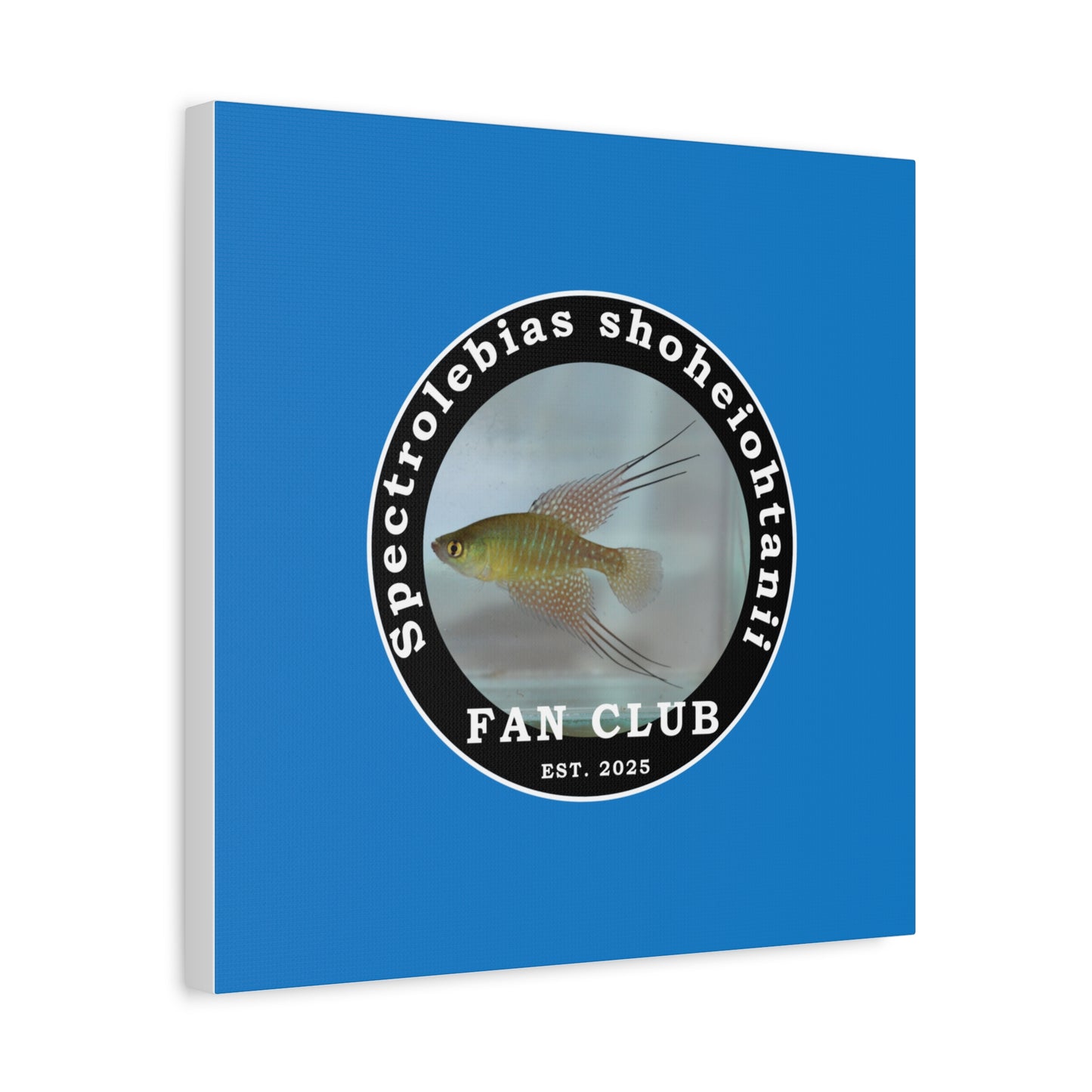 WALL ART - Shohei Ohtani Fish Fan Club Design Canvas Print - Fan Club Design Stretched Matte Wall Art