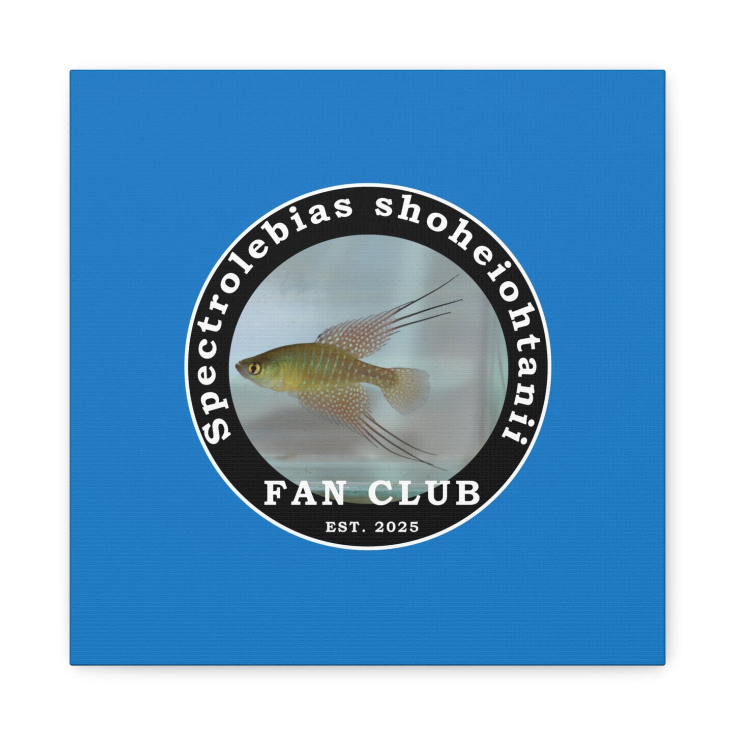 WALL ART - Shohei Ohtani Fish Fan Club Design Canvas Print - Fan Club Design Stretched Matte Wall Art