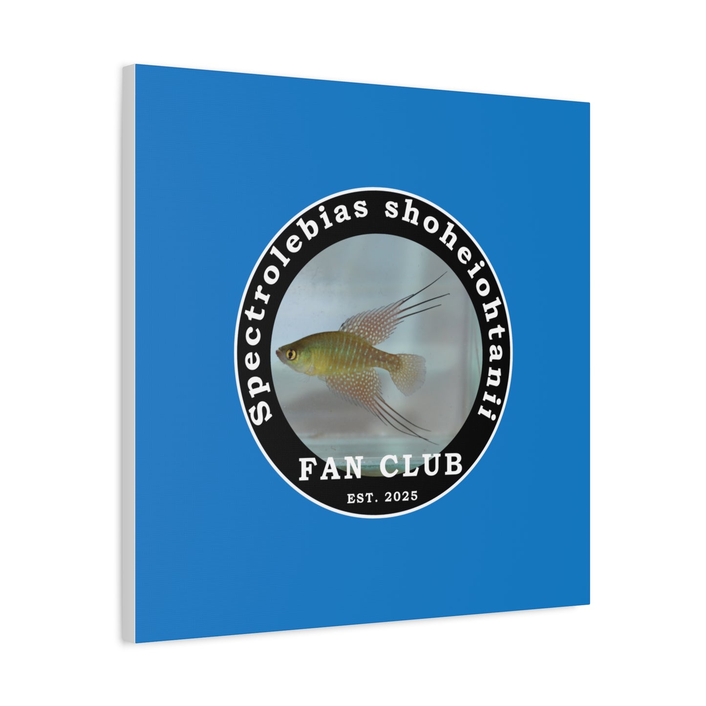 WALL ART - Shohei Ohtani Fish Fan Club Design Canvas Print - Fan Club Design Stretched Matte Wall Art