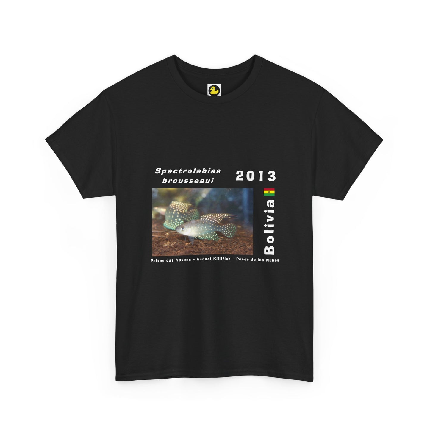 Original Collection #2 | Spectrolebias brousseaui