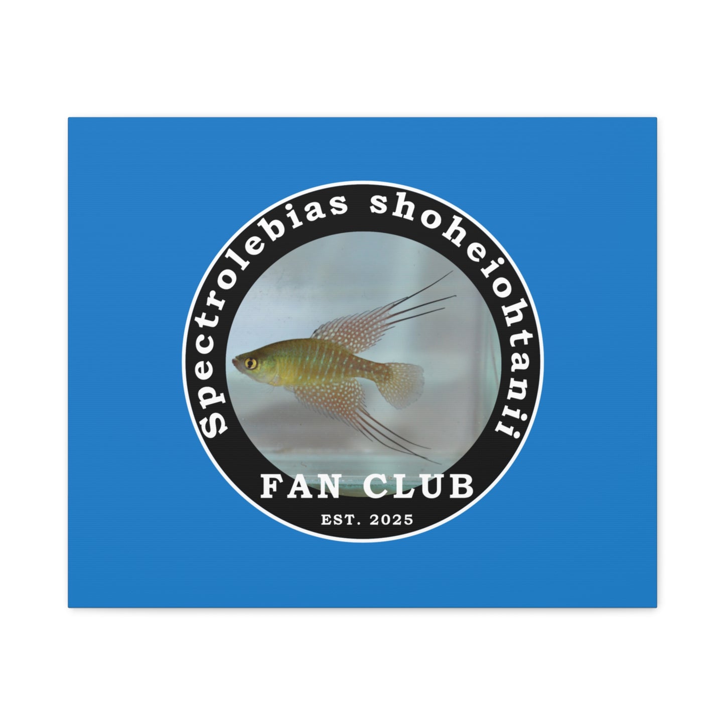 WALL ART - Shohei Ohtani Fish Fan Club Design Canvas Print - Fan Club Design Stretched Matte Wall Art
