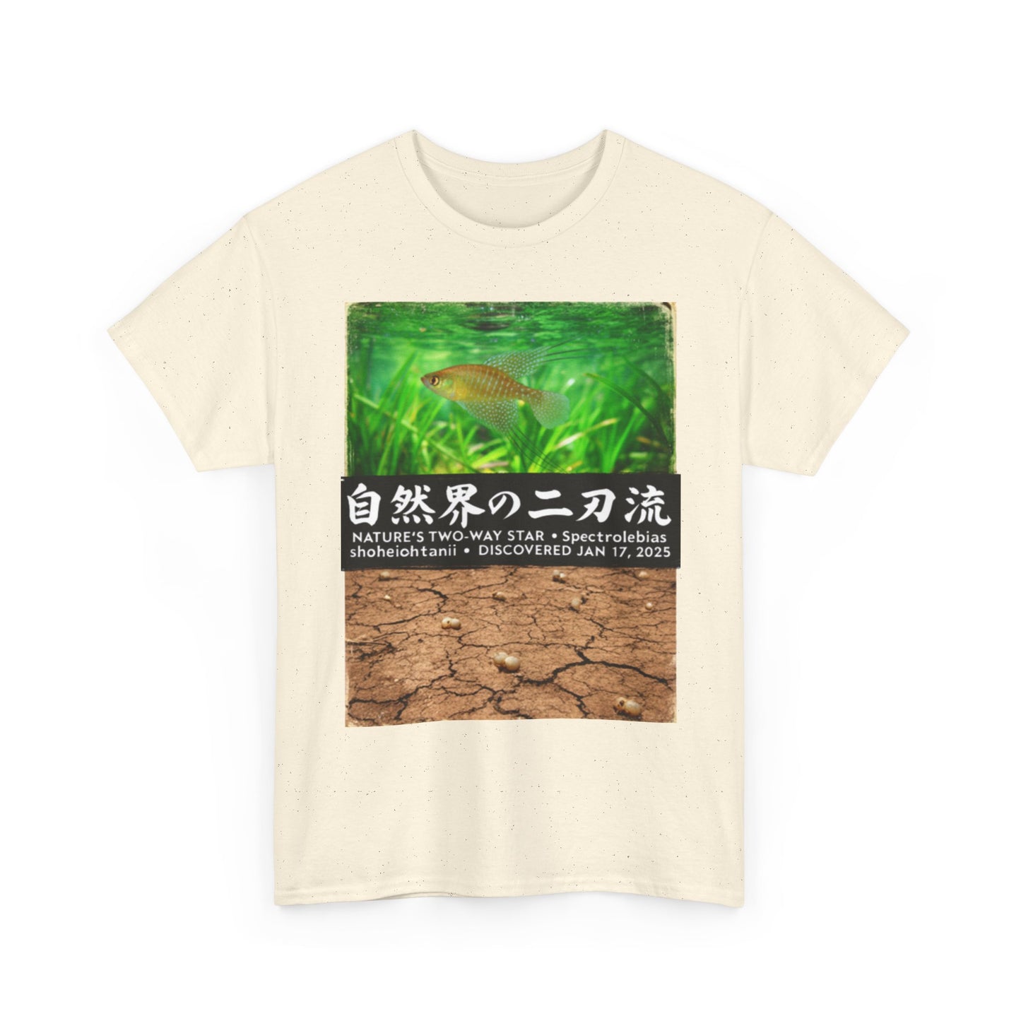 A New Vibe Collection #1 | Shohei Ohtani Fish