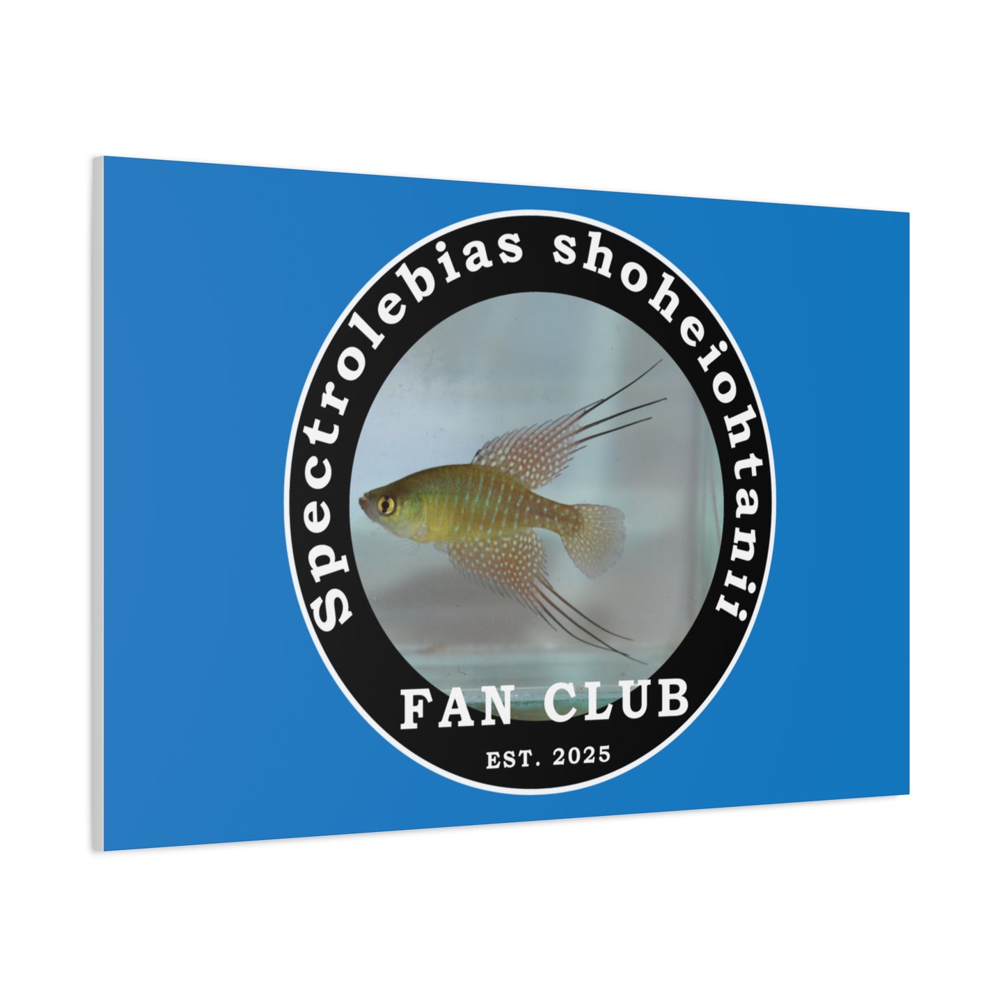 WALL ART - Shohei Ohtani Fish Fan Club Design Canvas Print - Fan Club Design Stretched Matte Wall Art