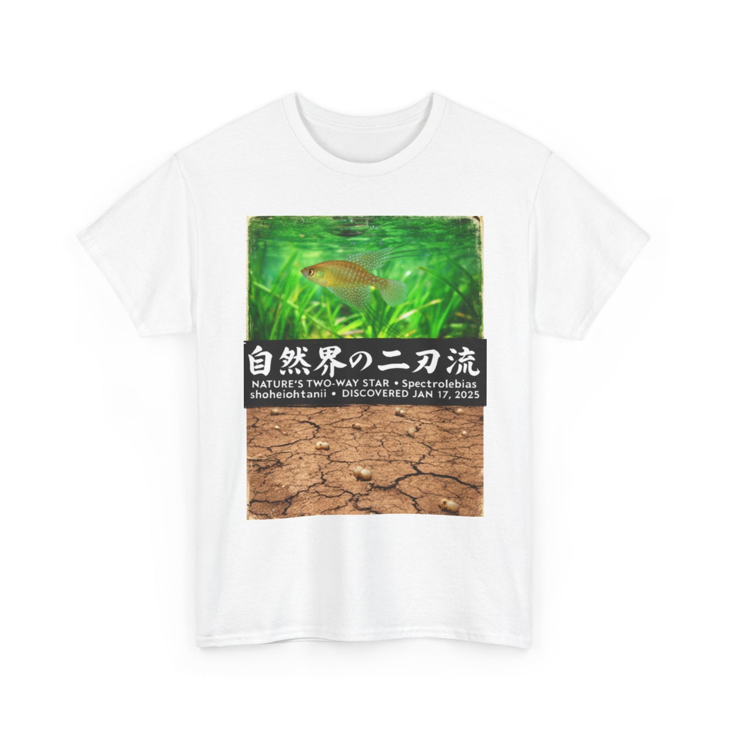 A New Vibe Collection #1 | Shohei Ohtani Fish