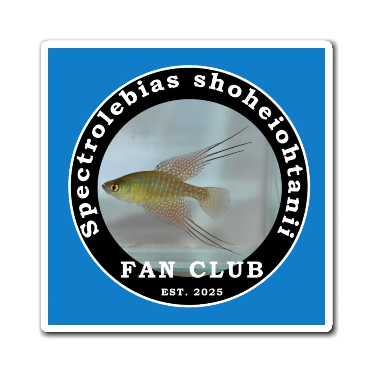 MAGNET - Shohei Ohtani Fish Fan Club Design Magnet - Fan Club Design Square Magnet