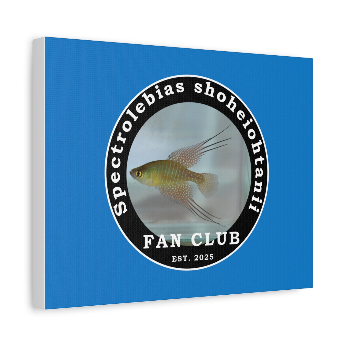 WALL ART - Shohei Ohtani Fish Fan Club Design Canvas Print - Fan Club Design Stretched Matte Wall Art