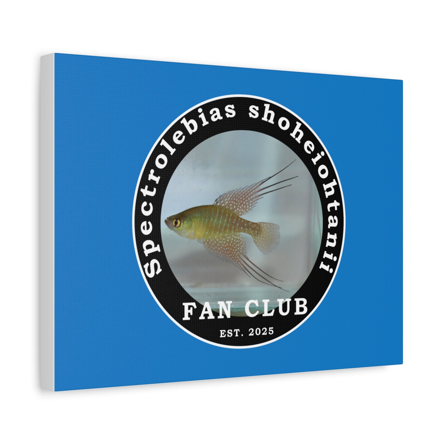 WALL ART - Shohei Ohtani Fish Fan Club Design Canvas Print - Fan Club Design Stretched Matte Wall Art