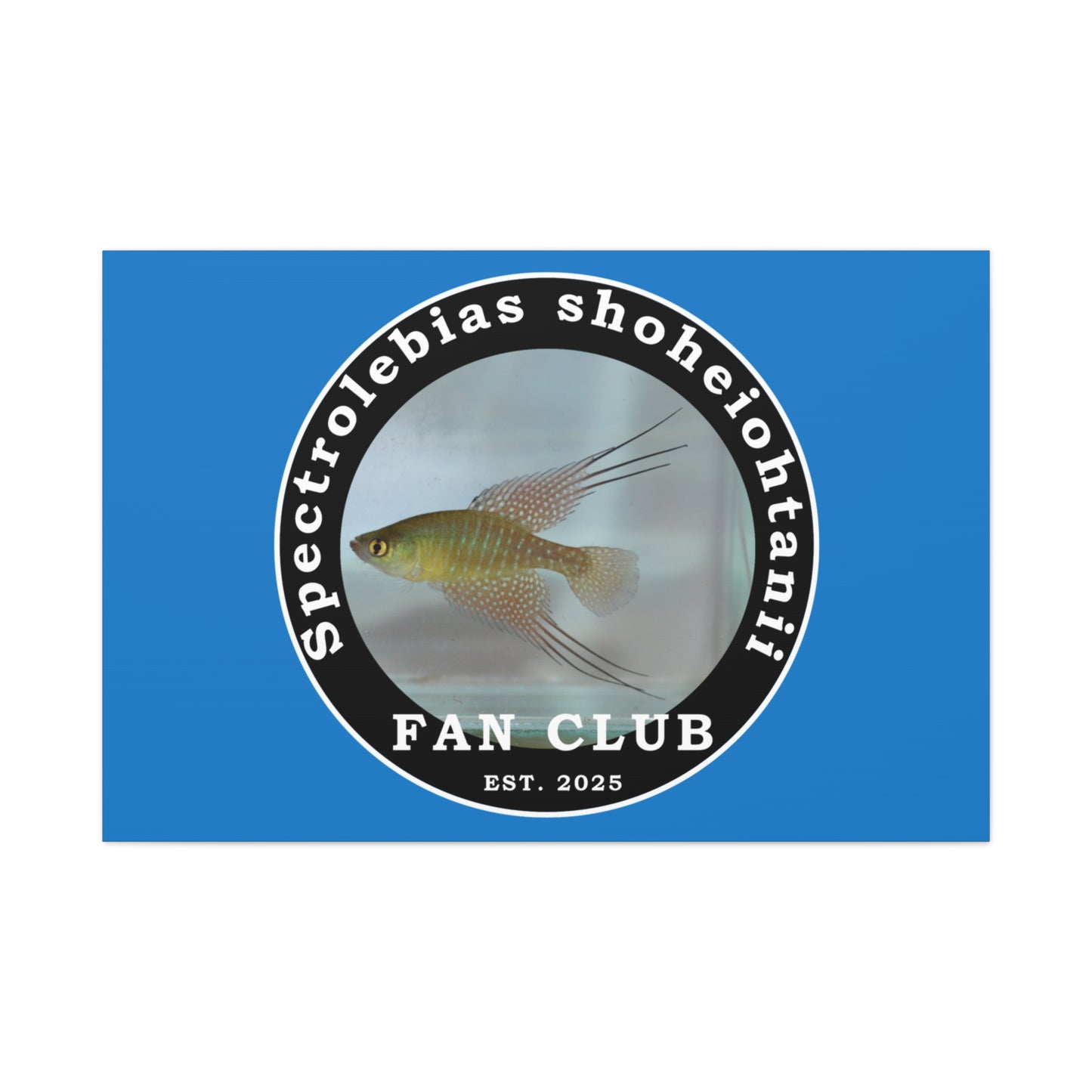 WALL ART - Shohei Ohtani Fish Fan Club Design Canvas Print - Fan Club Design Stretched Matte Wall Art