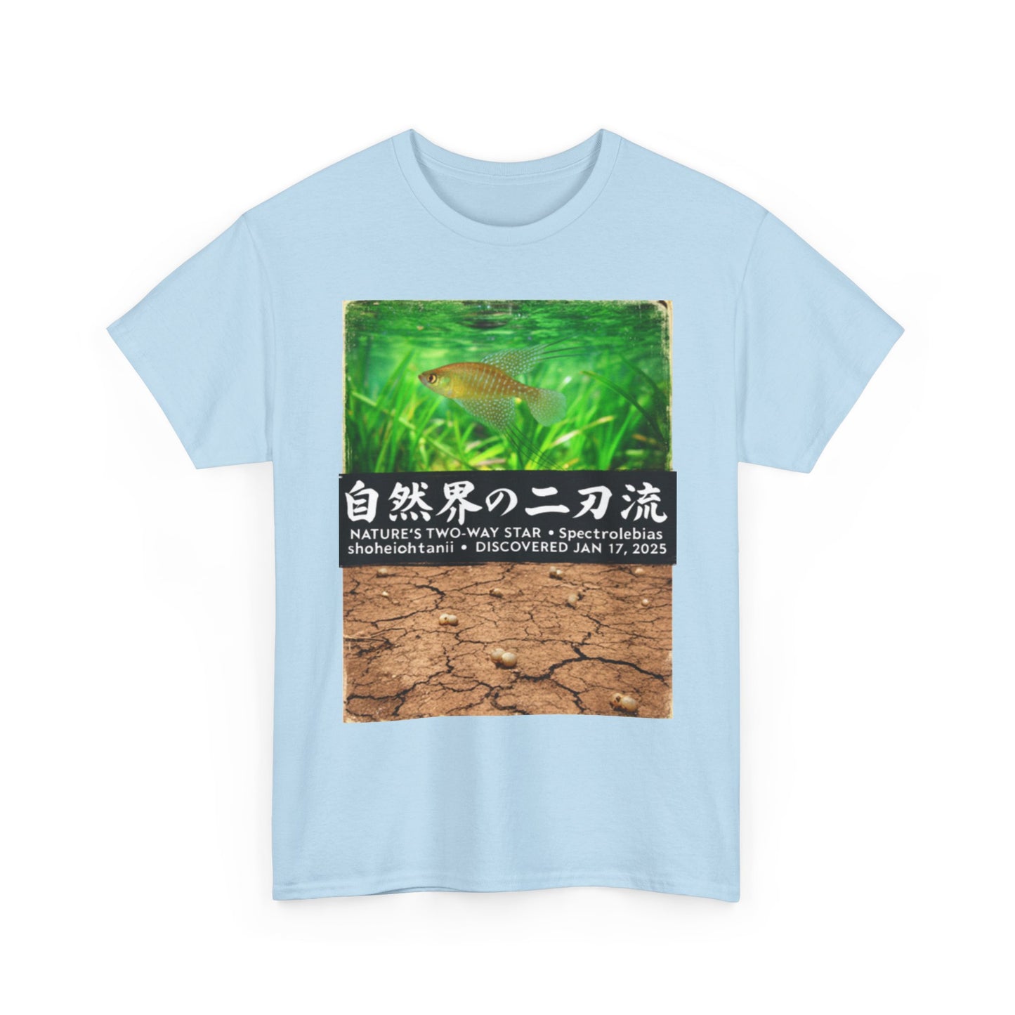 A New Vibe Collection #1 | Shohei Ohtani Fish