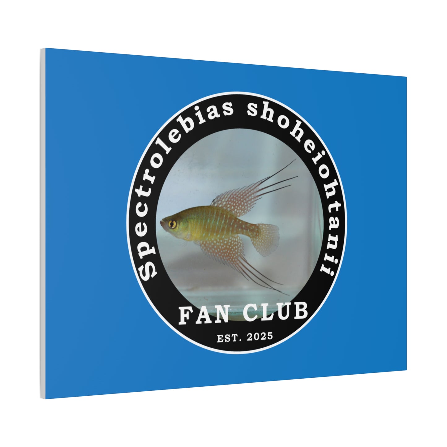 WALL ART - Shohei Ohtani Fish Fan Club Design Canvas Print - Fan Club Design Stretched Matte Wall Art