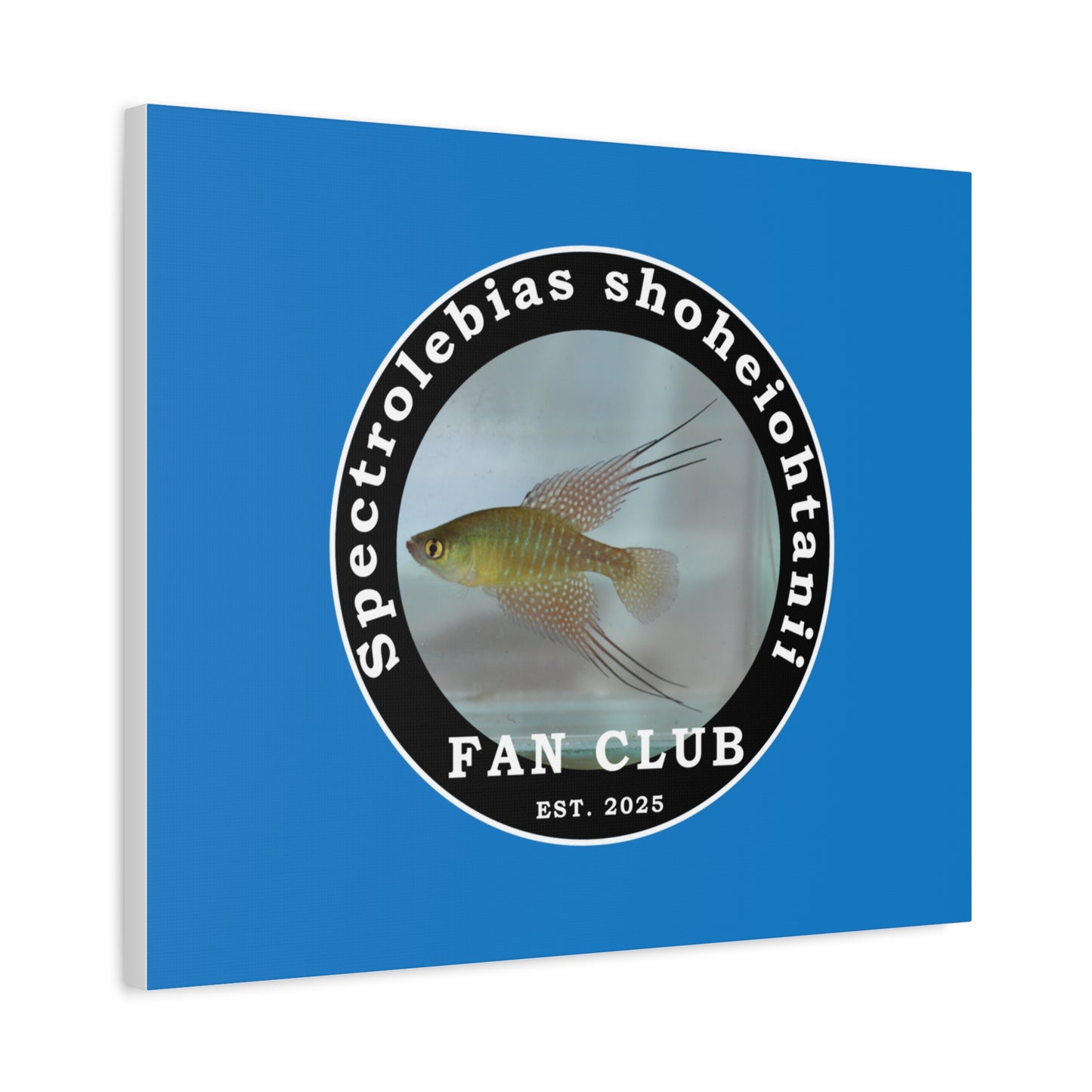 WALL ART - Shohei Ohtani Fish Fan Club Design Canvas Print - Fan Club Design Stretched Matte Wall Art
