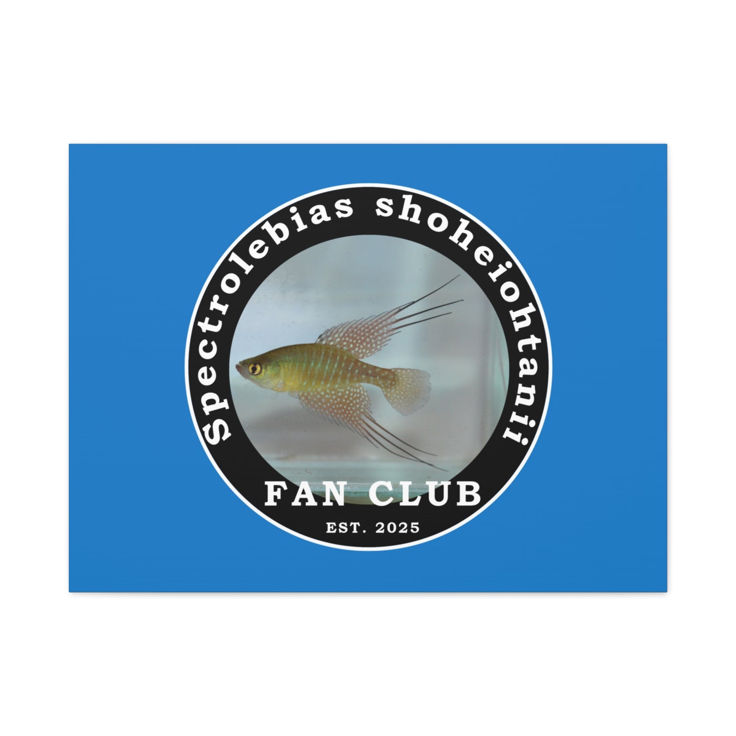 WALL ART - Shohei Ohtani Fish Fan Club Design Canvas Print - Fan Club Design Stretched Matte Wall Art