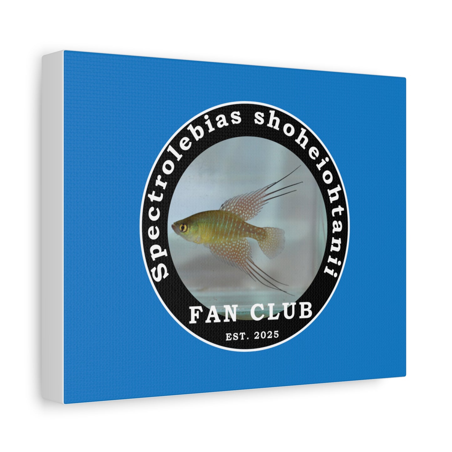 WALL ART - Shohei Ohtani Fish Fan Club Design Canvas Print - Fan Club Design Stretched Matte Wall Art