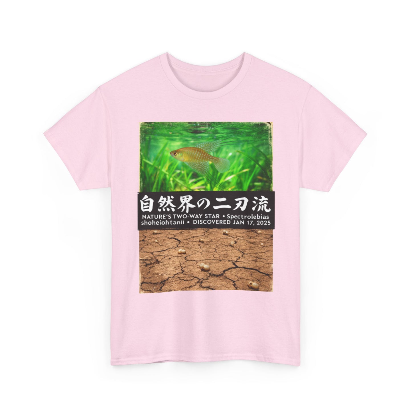 A New Vibe Collection #1 | Shohei Ohtani Fish