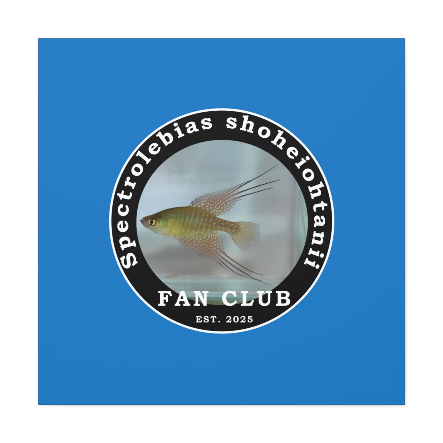 WALL ART - Shohei Ohtani Fish Fan Club Design Canvas Print - Fan Club Design Stretched Matte Wall Art