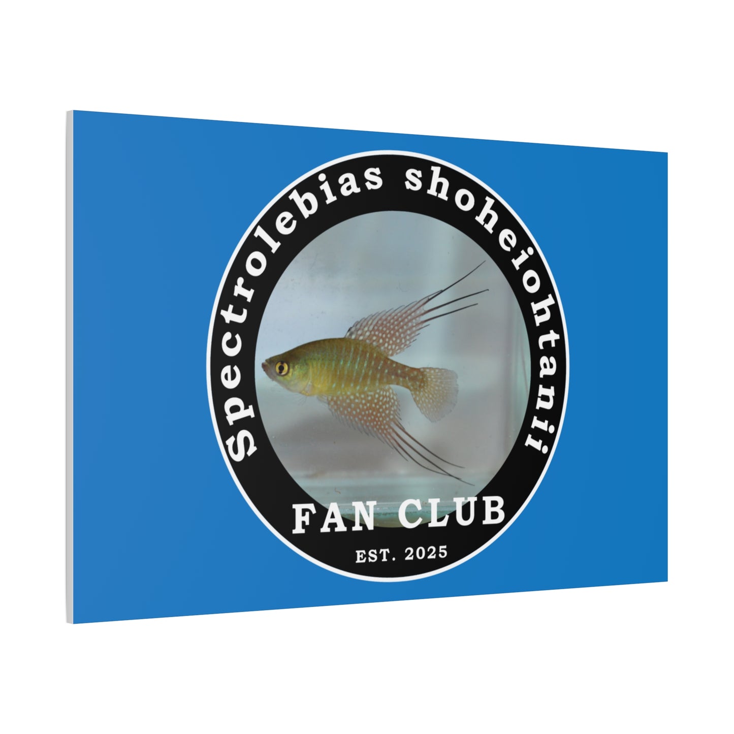 WALL ART - Shohei Ohtani Fish Fan Club Design Canvas Print - Fan Club Design Stretched Matte Wall Art