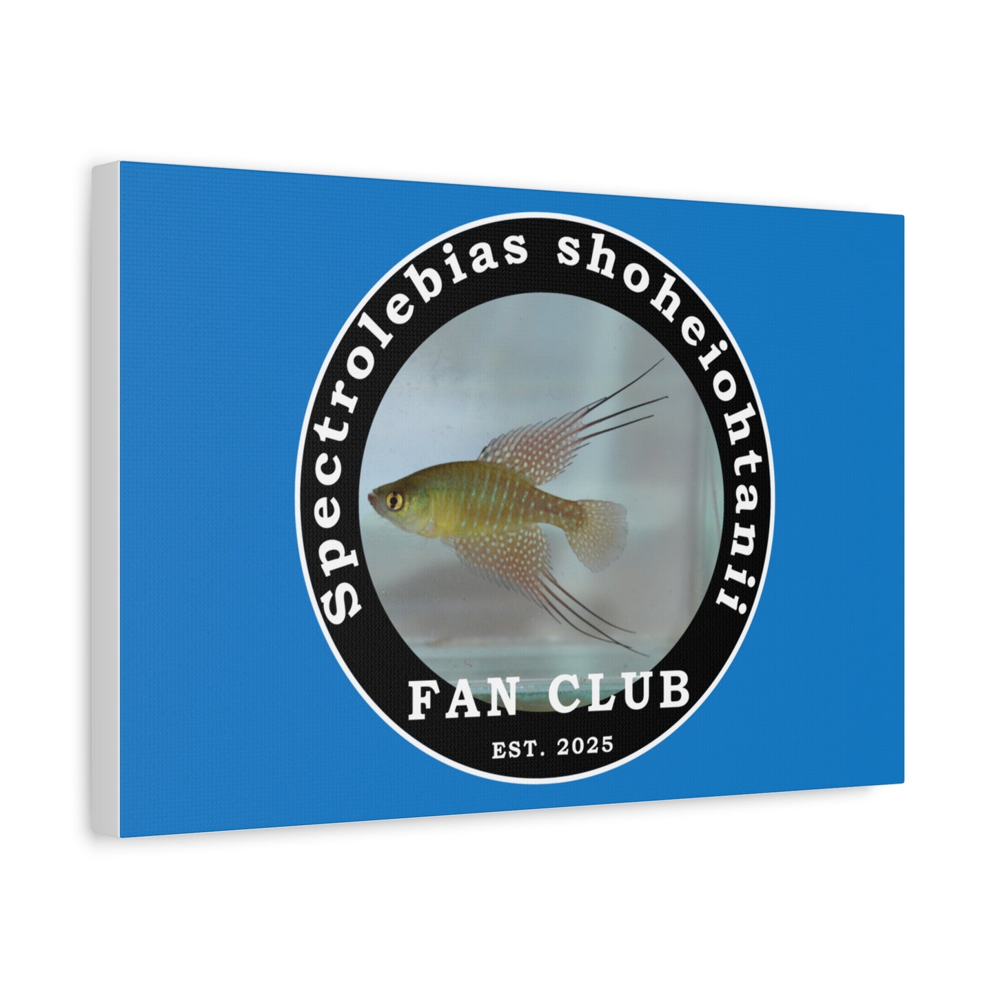 WALL ART - Shohei Ohtani Fish Fan Club Design Canvas Print - Fan Club Design Stretched Matte Wall Art