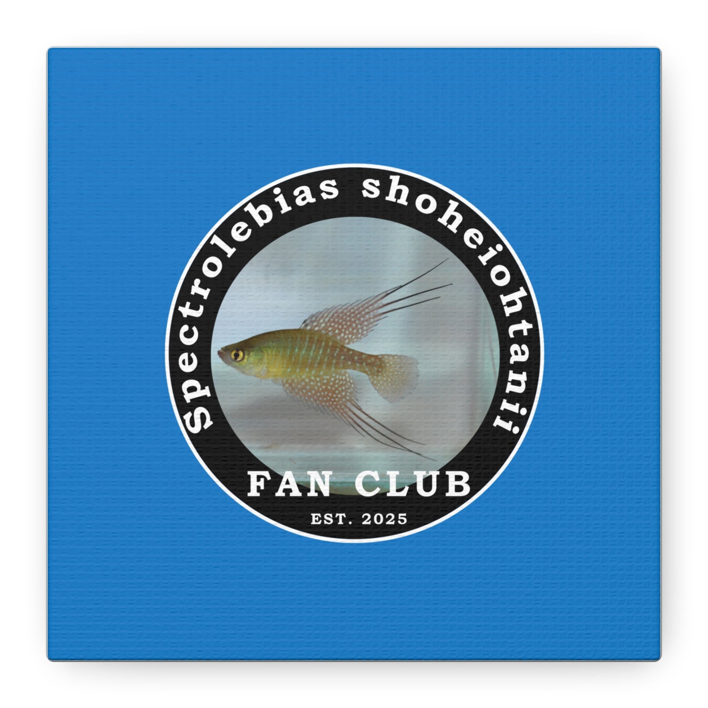WALL ART - Shohei Ohtani Fish Fan Club Design Canvas Print - Fan Club Design Stretched Matte Wall Art