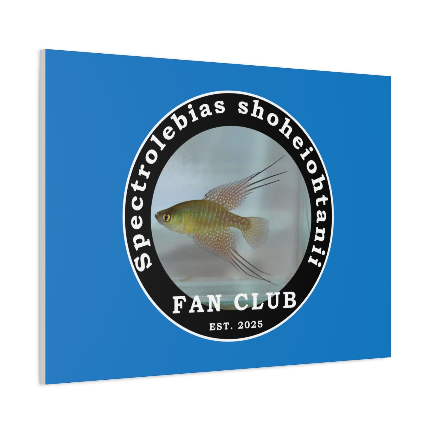 WALL ART - Shohei Ohtani Fish Fan Club Design Canvas Print - Fan Club Design Stretched Matte Wall Art
