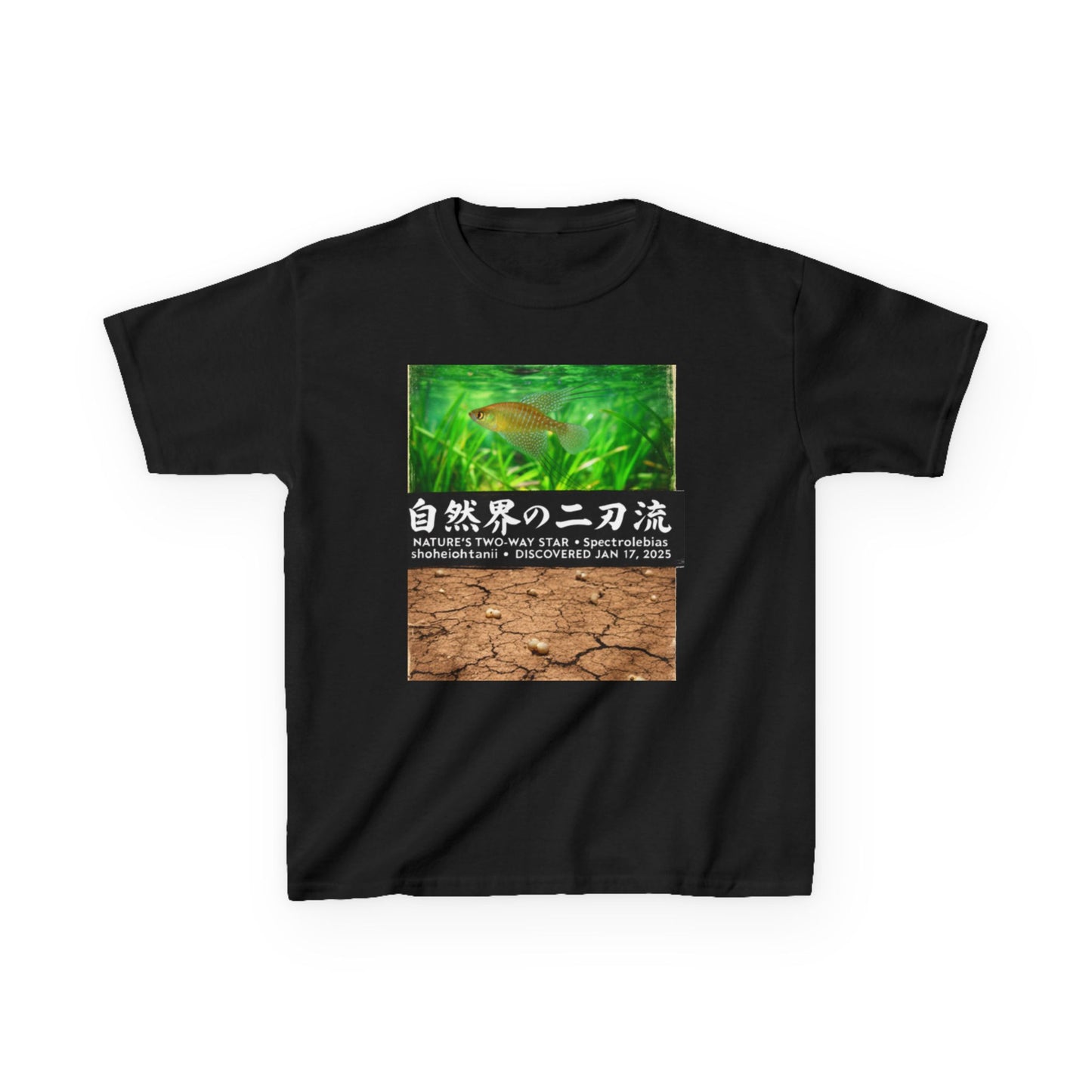 A New Vibe Collection #1 | Shohei Ohtani Fish