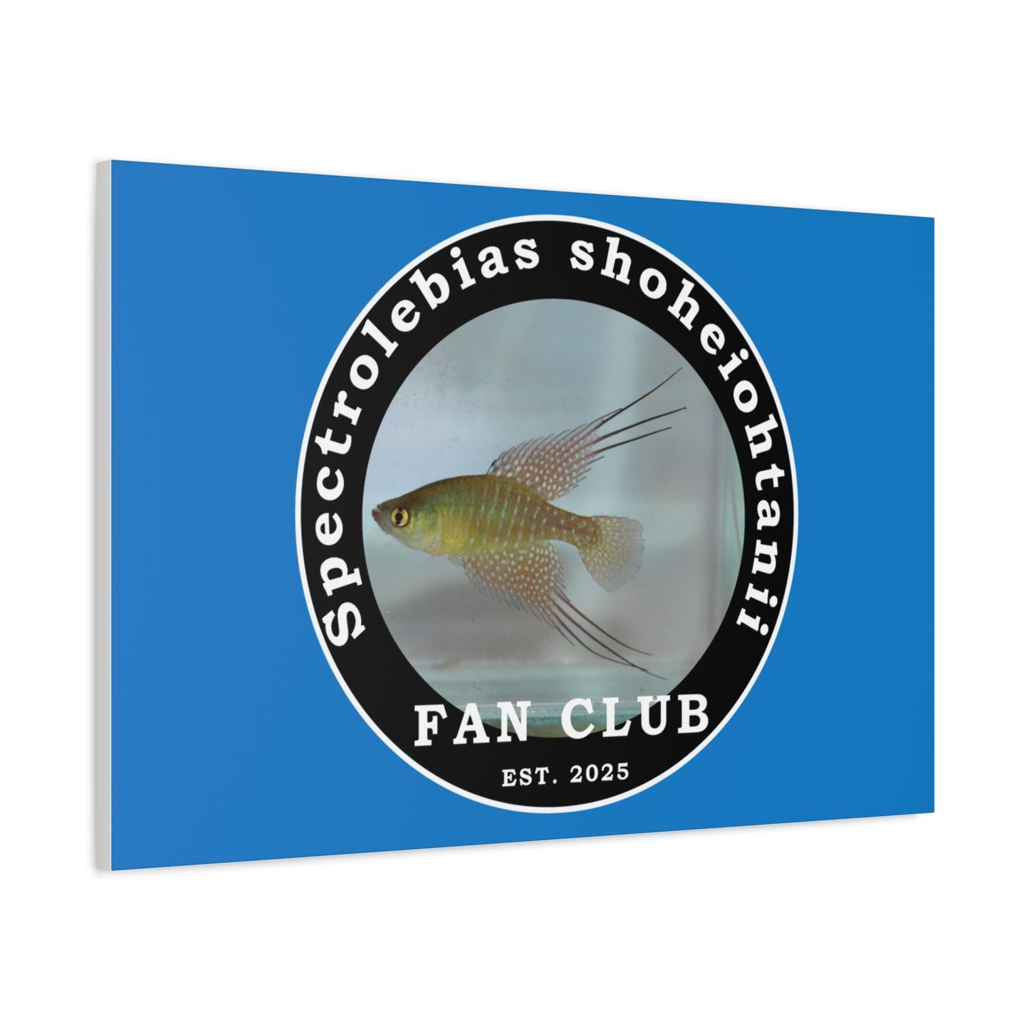 WALL ART - Shohei Ohtani Fish Fan Club Design Canvas Print - Fan Club Design Stretched Matte Wall Art