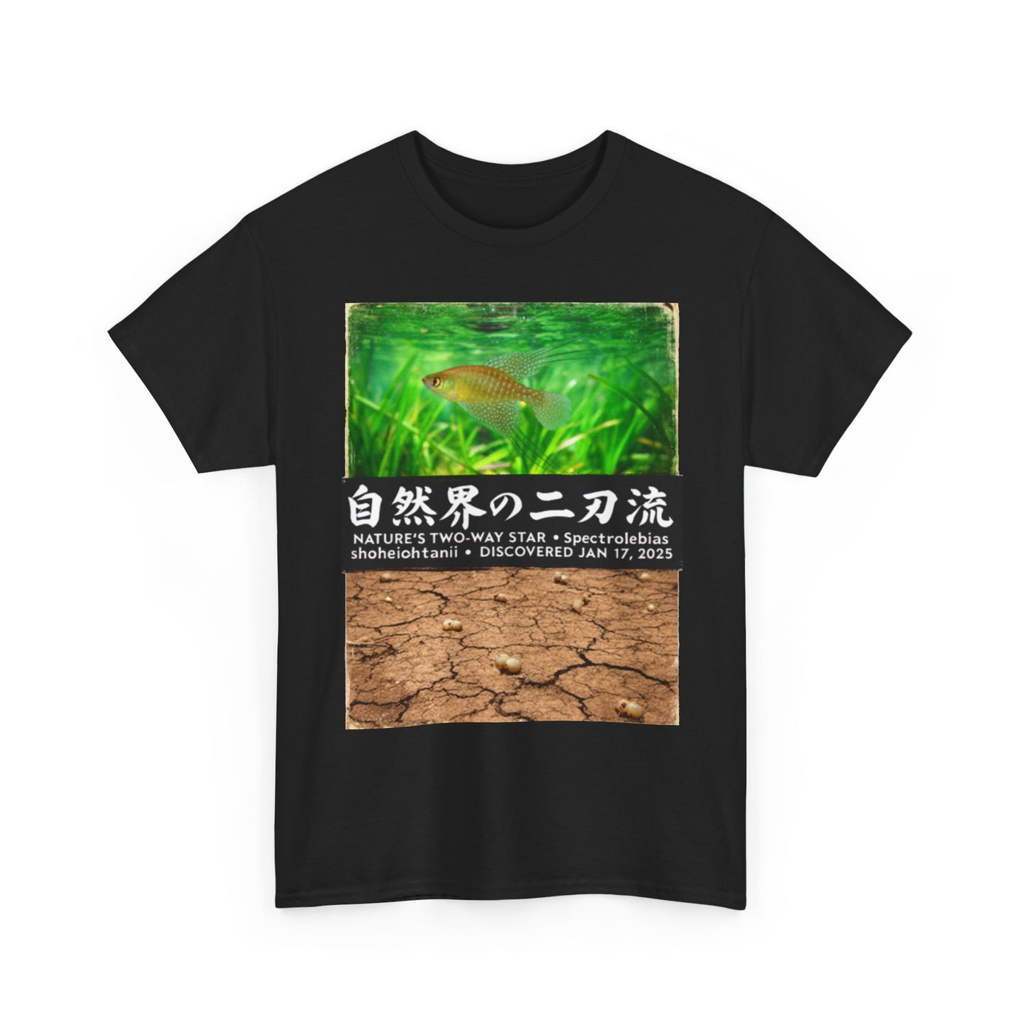 A New Vibe Collection #1 | Shohei Ohtani Fish
