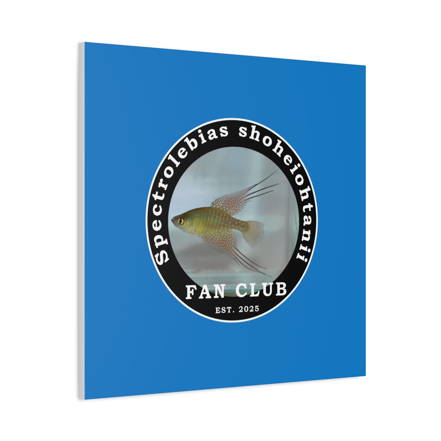 WALL ART - Shohei Ohtani Fish Fan Club Design Canvas Print - Fan Club Design Stretched Matte Wall Art