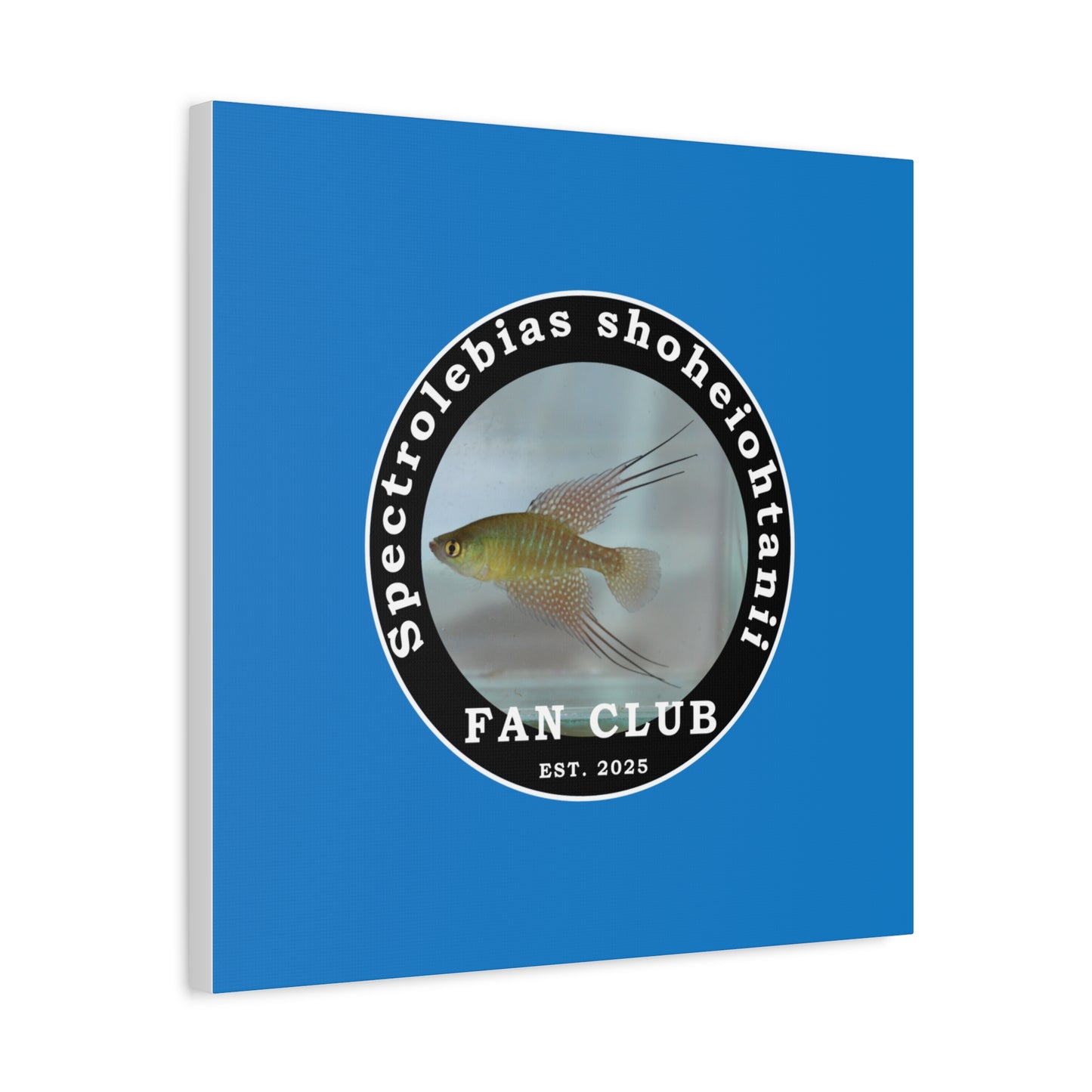 WALL ART - Shohei Ohtani Fish Fan Club Design Canvas Print - Fan Club Design Stretched Matte Wall Art