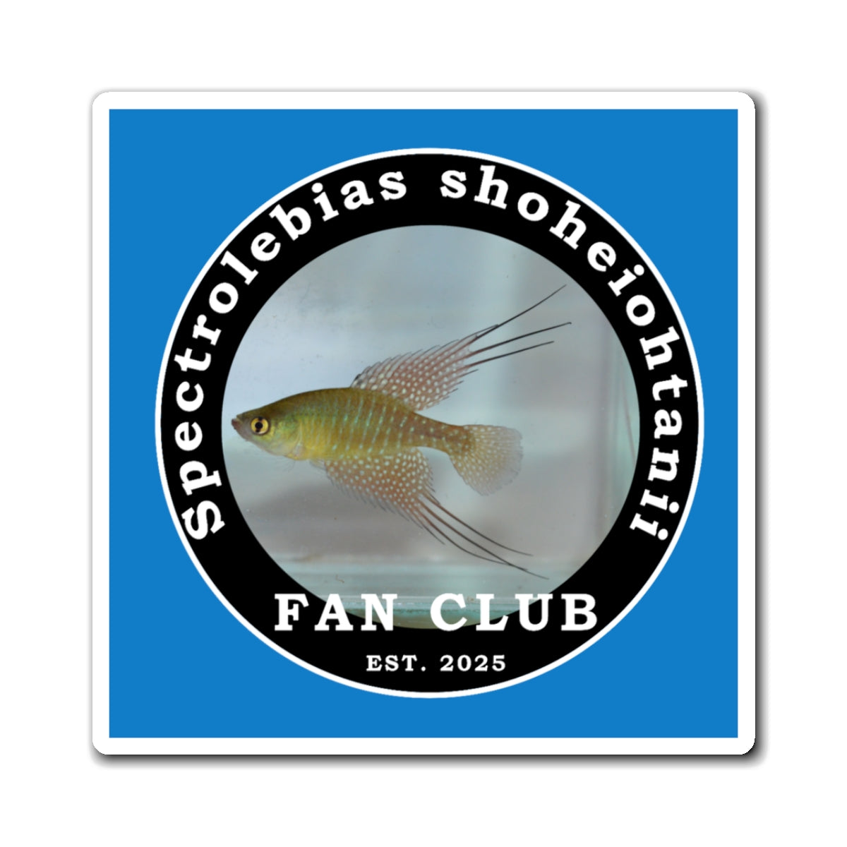 MAGNET - Shohei Ohtani Fish Fan Club Design Magnet - Fan Club Design Square Magnet