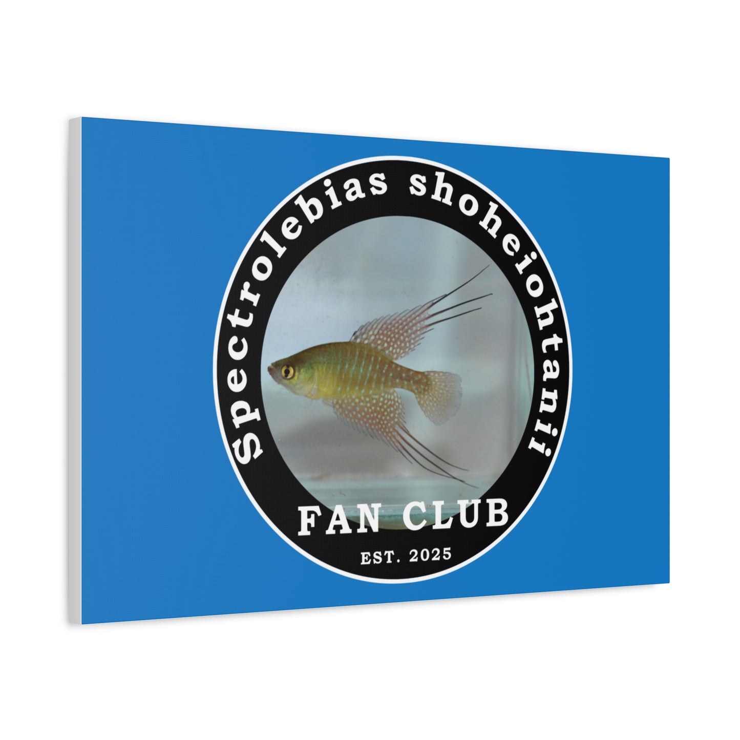 WALL ART - Shohei Ohtani Fish Fan Club Design Canvas Print - Fan Club Design Stretched Matte Wall Art
