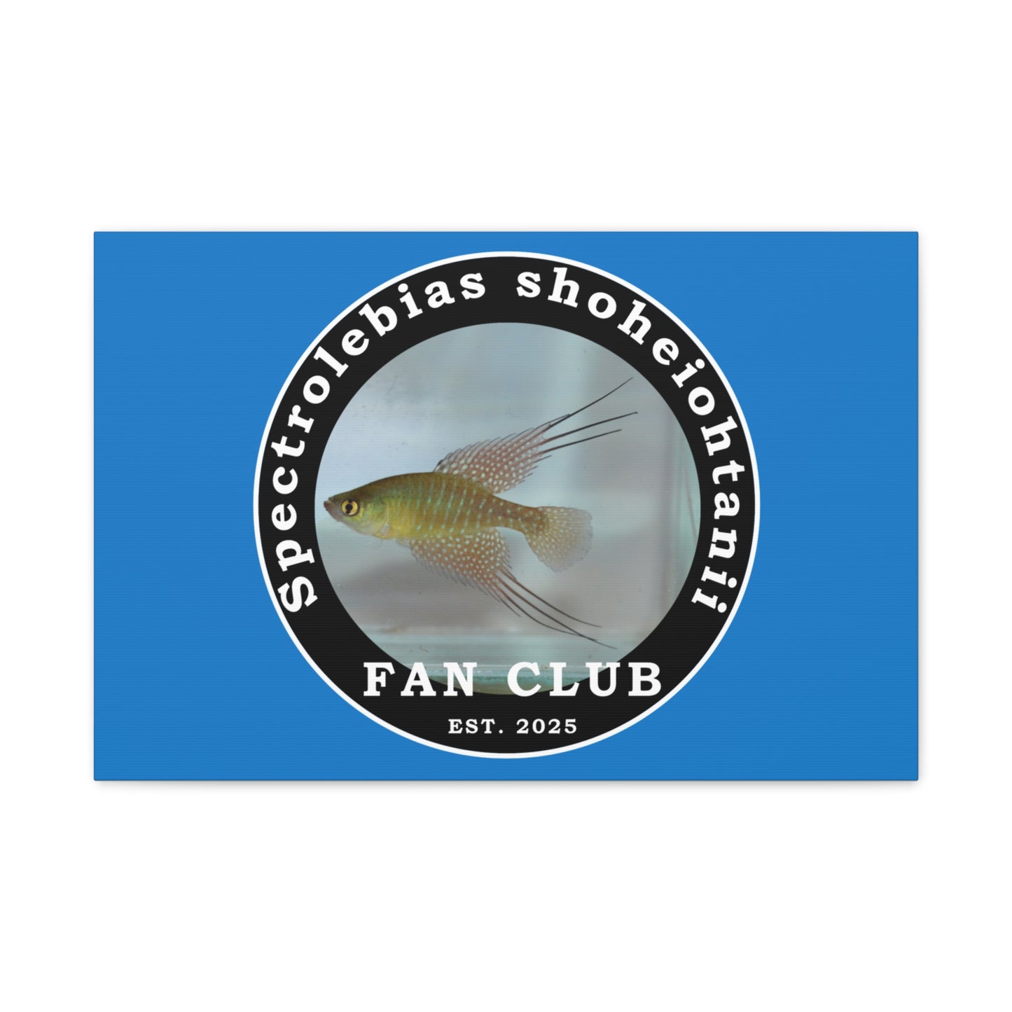 WALL ART - Shohei Ohtani Fish Fan Club Design Canvas Print - Fan Club Design Stretched Matte Wall Art