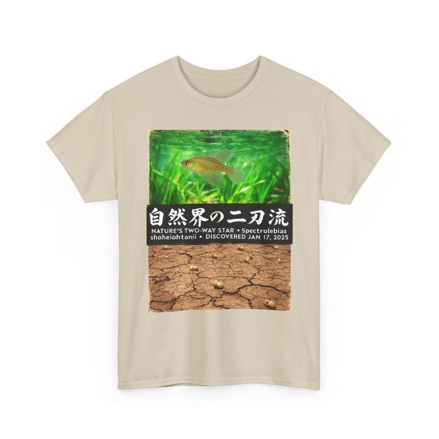 A New Vibe Collection #1 | Shohei Ohtani Fish